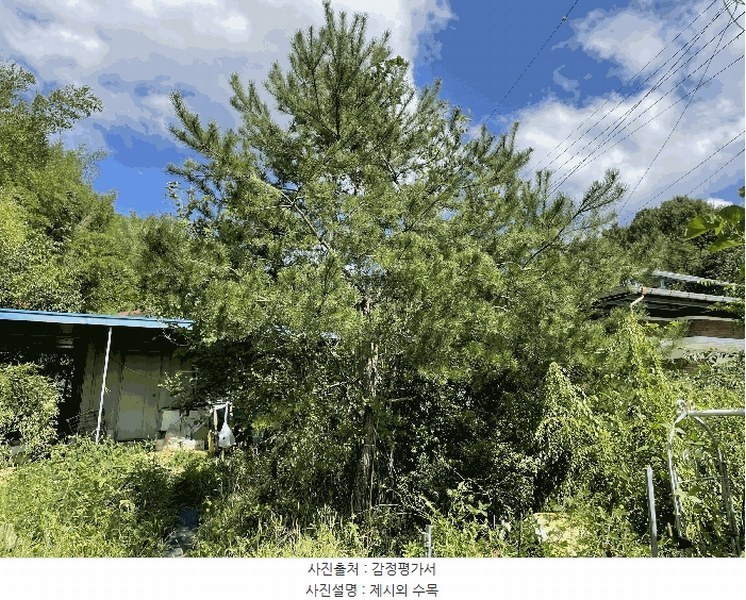 2025타경10188 충청북도 옥천군 이원면 이원리 595 주택 경매 이미지