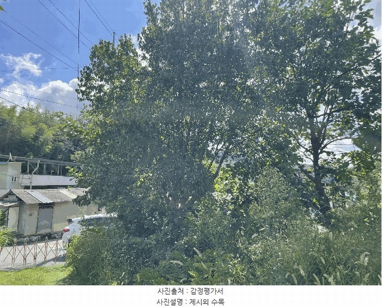 2025타경10188 충청북도 옥천군 이원면 이원리 595 주택 경매 이미지