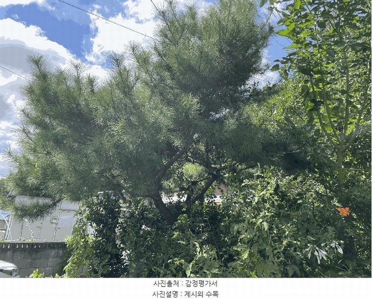 2025타경10188 충청북도 옥천군 이원면 이원리 595 주택 경매 이미지