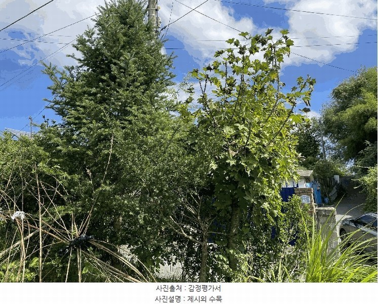 2025타경10188 충청북도 옥천군 이원면 이원리 595 주택 경매 이미지