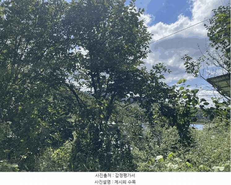 2025타경10188 충청북도 옥천군 이원면 이원리 595 주택 경매 이미지