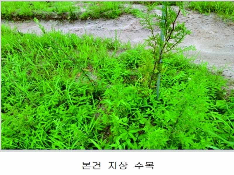 2023타경5588 세종특별자치시 금남면 대박리 367-3 임야 경매 이미지