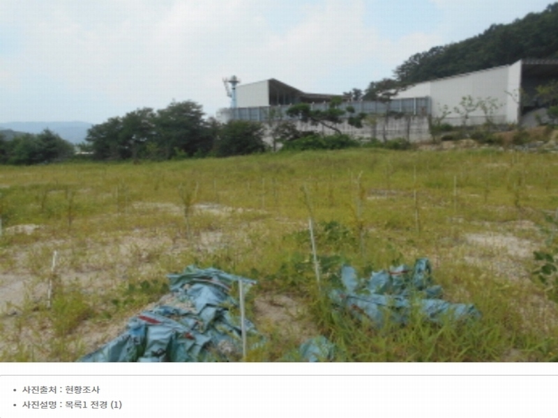 2023타경5588 세종특별자치시 금남면 대박리 367-3 임야 경매 이미지