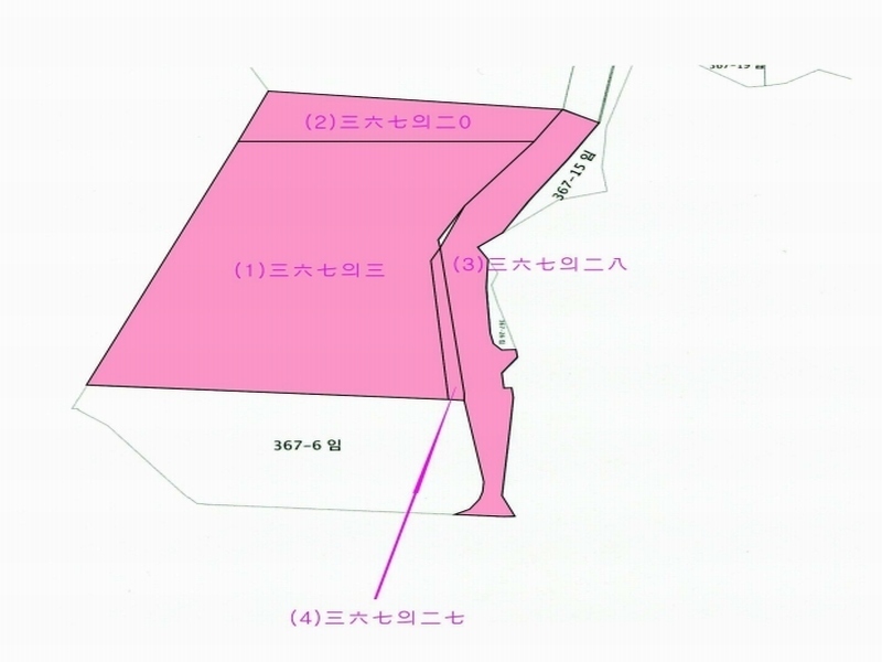 2023타경5588 세종특별자치시 금남면 대박리 367-3 임야 경매 이미지