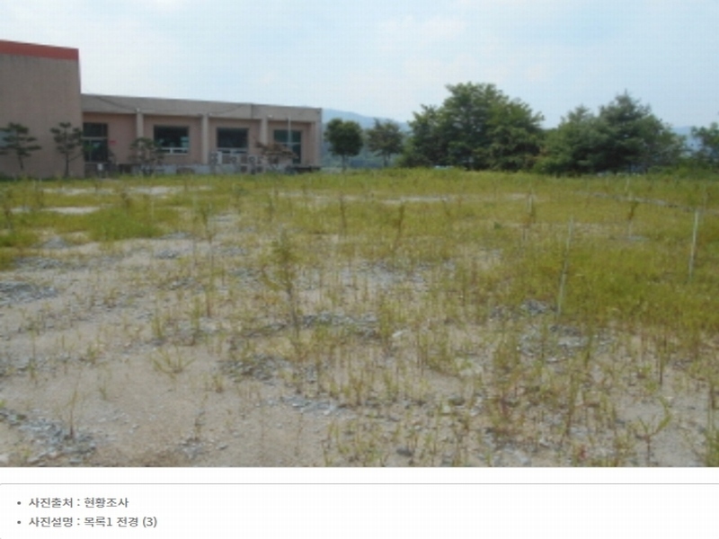 2023타경5588 세종특별자치시 금남면 대박리 367-3 임야 경매 이미지