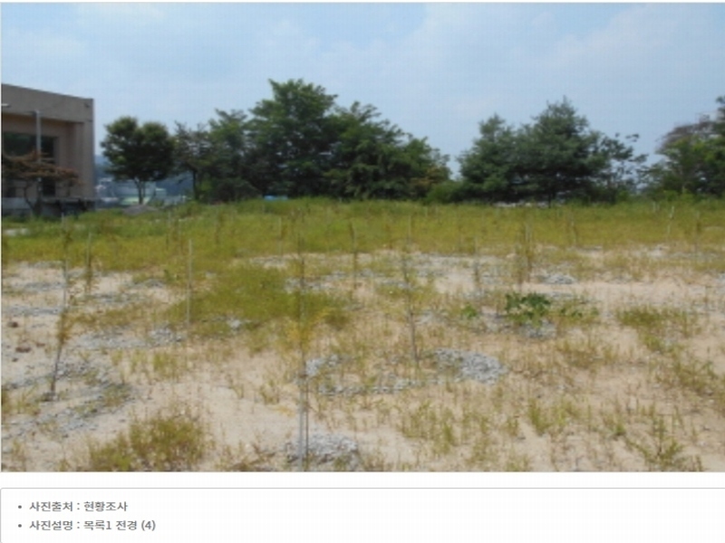 2023타경5588 세종특별자치시 금남면 대박리 367-3 임야 경매 이미지