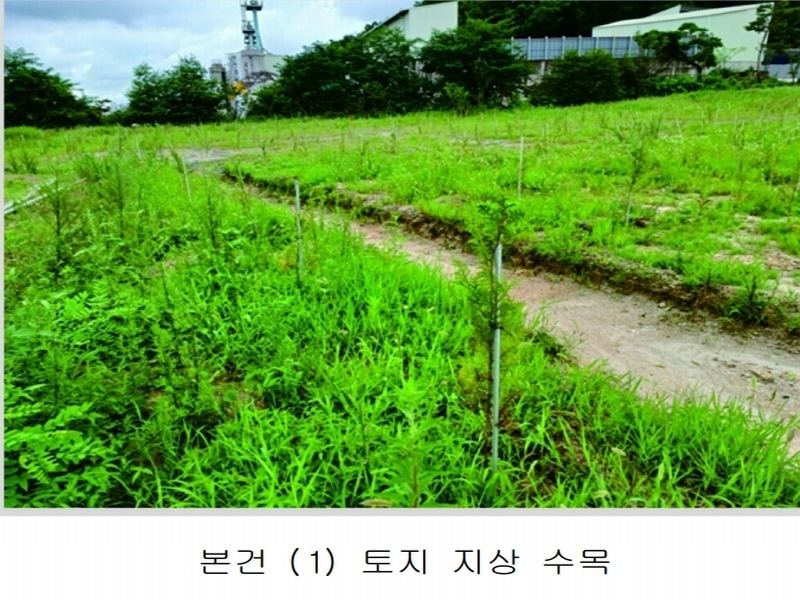 2023타경5588 세종특별자치시 금남면 대박리 367-3 임야 경매 이미지