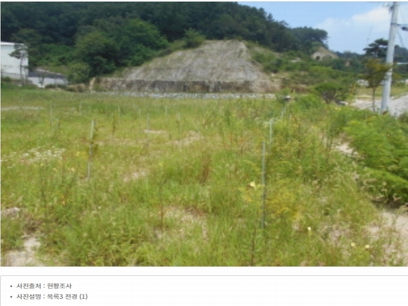 2023타경5588 세종특별자치시 금남면 대박리 367-3 임야 경매 이미지