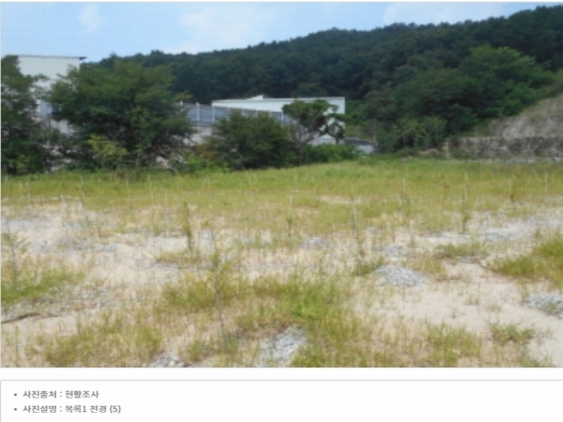 2023타경5588 세종특별자치시 금남면 대박리 367-3 임야 경매 이미지