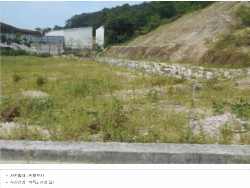 2023타경5588 세종특별자치시 금남면 대박리 367-3 임야 경매 이미지