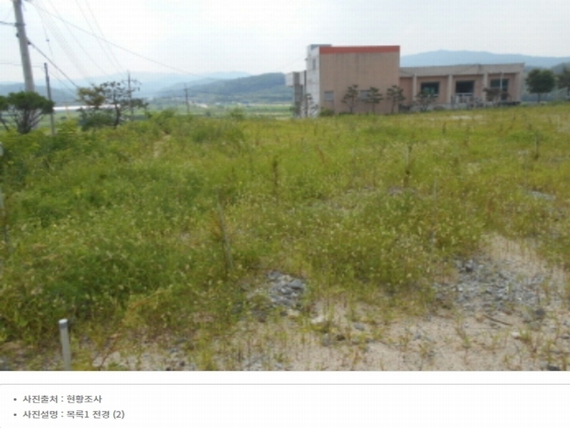 2023타경5588 세종특별자치시 금남면 대박리 367-3 임야 경매 이미지
