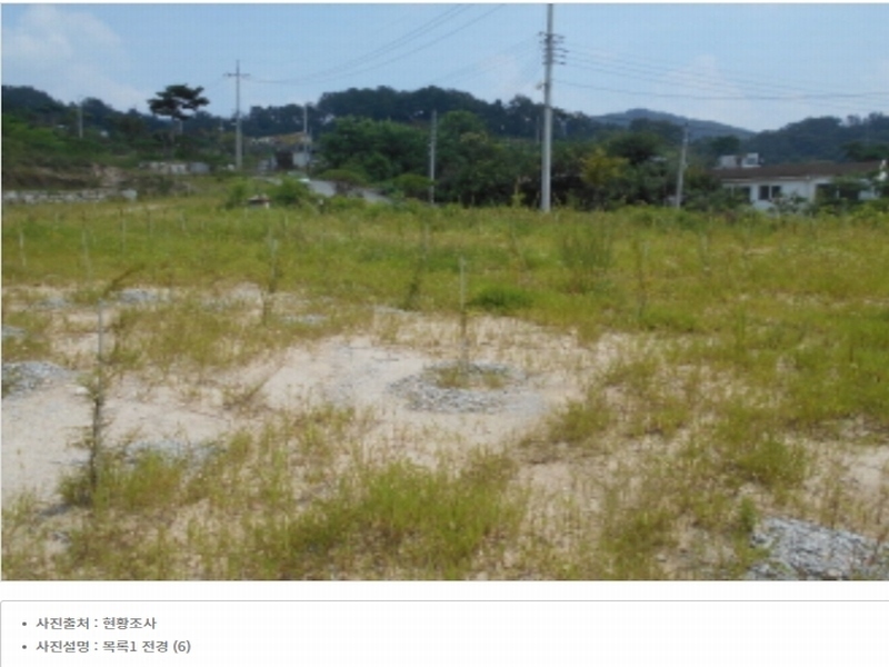 2023타경5588 세종특별자치시 금남면 대박리 367-3 임야 경매 이미지