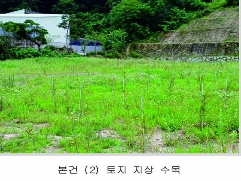 2023타경5588 세종특별자치시 금남면 대박리 367-3 임야 경매 이미지