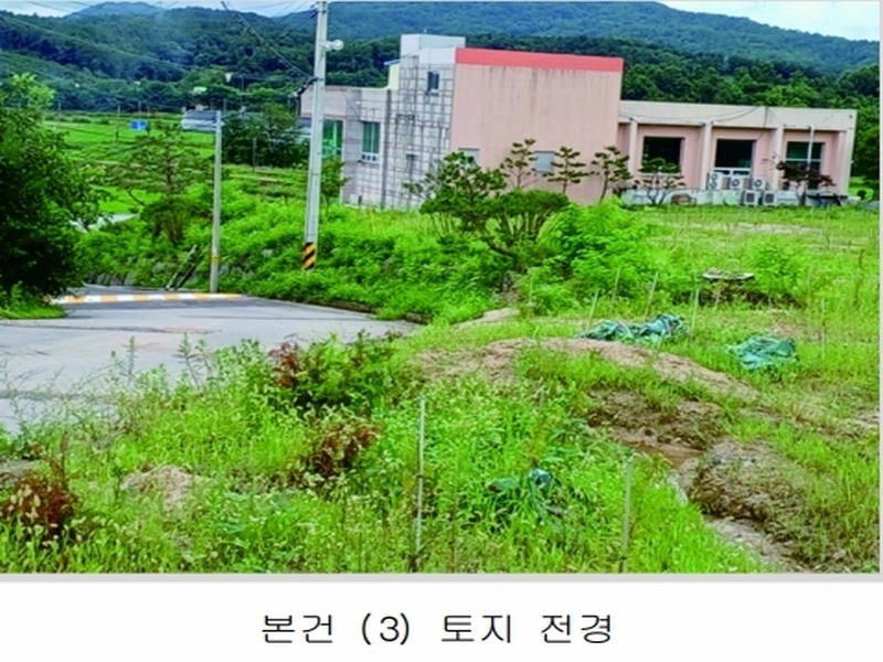 2023타경5588 세종특별자치시 금남면 대박리 367-3 임야 경매 이미지