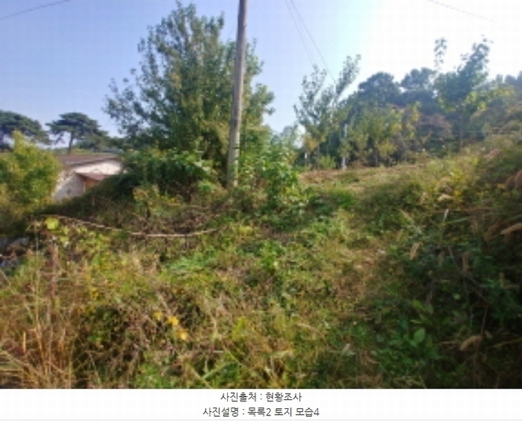 2024타경10143 충청남도 금산군 부리면 관천리 367 농지 경매 이미지