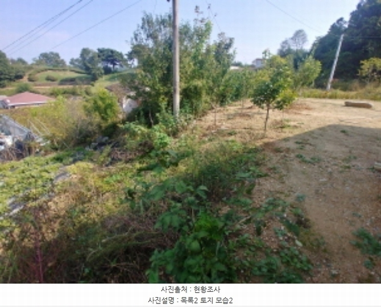 2024타경10143 충청남도 금산군 부리면 관천리 367 농지 경매 이미지
