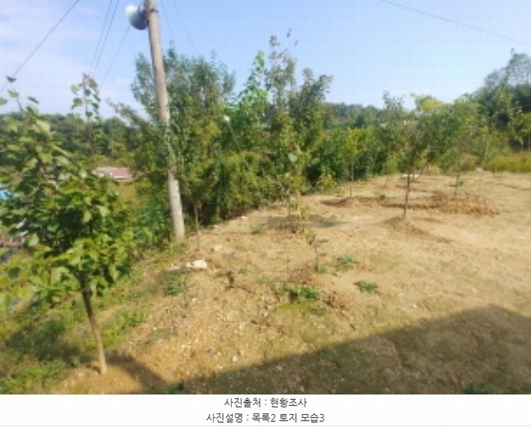 2024타경10143 충청남도 금산군 부리면 관천리 367 농지 경매 이미지