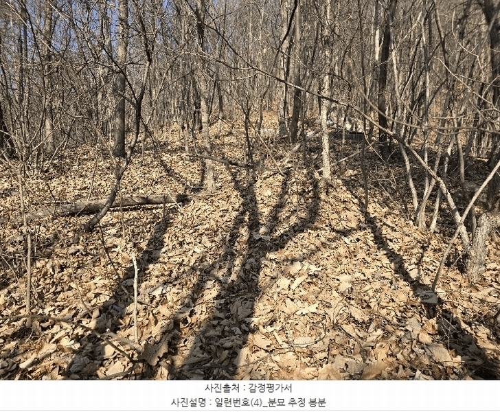 2024타경11382 세종특별자치시 장군면 봉안리 산40-41 임야 경매 이미지