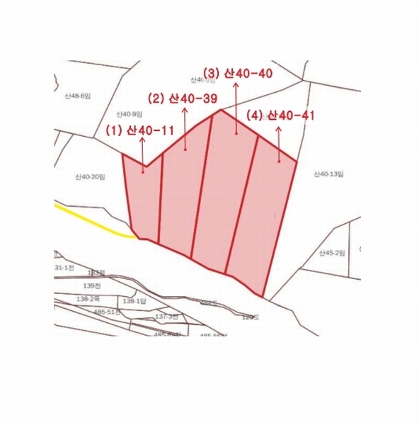 2024타경11382 세종특별자치시 장군면 봉안리 산40-41 임야 경매 이미지