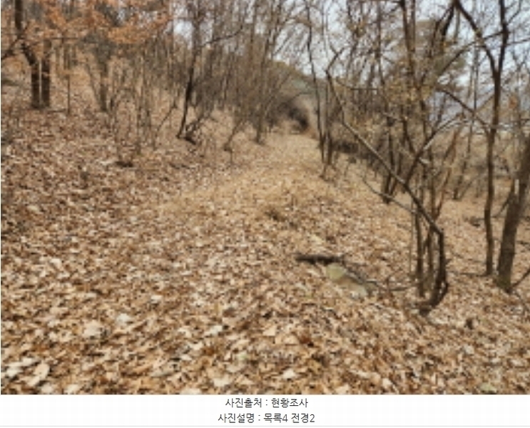 2024타경11382 세종특별자치시 장군면 봉안리 산40-41 임야 경매 이미지