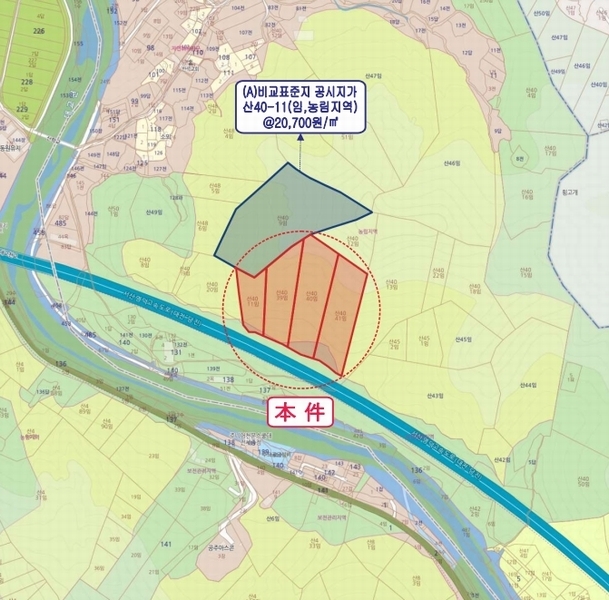2024타경11382 세종특별자치시 장군면 봉안리 산40-41 임야 경매 이미지
