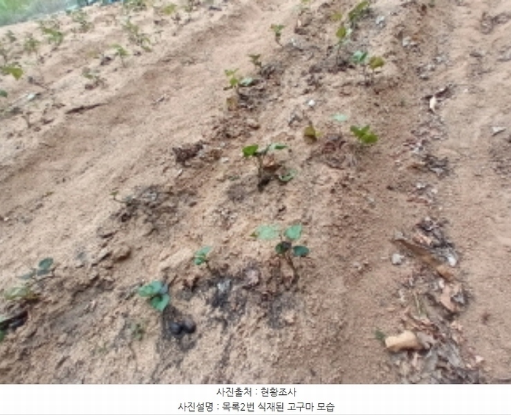 2024타경111817 충청남도 금산군 남일면 황풍리 331-1 농지 경매 이미지