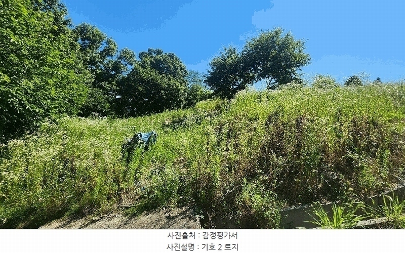 2024타경111817 충청남도 금산군 남일면 황풍리 331-1 농지 경매 이미지