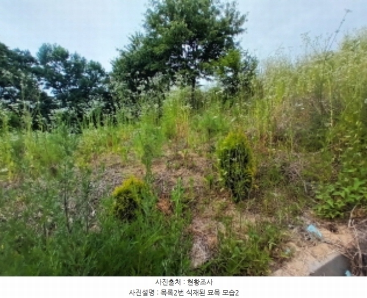 2024타경111817 충청남도 금산군 남일면 황풍리 331-1 농지 경매 이미지