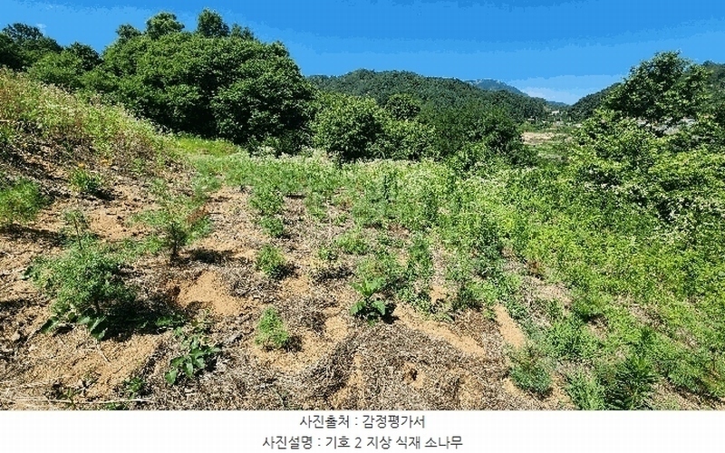 2024타경111817 충청남도 금산군 남일면 황풍리 331-1 농지 경매 이미지