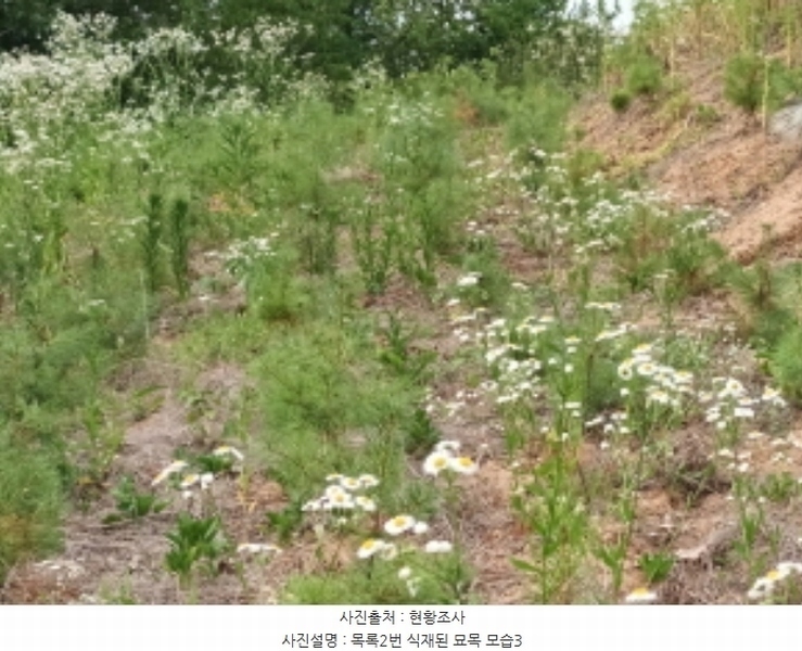 2024타경111817 충청남도 금산군 남일면 황풍리 331-1 농지 경매 이미지