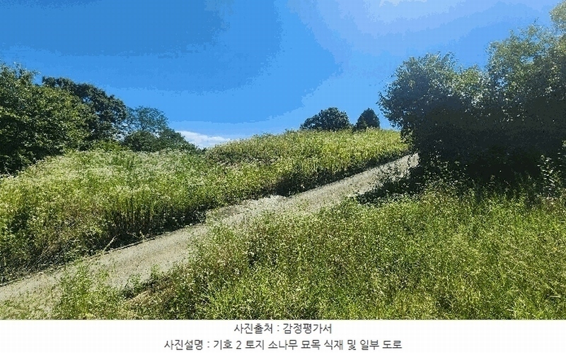 2024타경111817 충청남도 금산군 남일면 황풍리 331-1 농지 경매 이미지