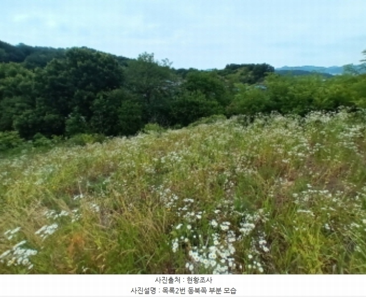 2024타경111817 충청남도 금산군 남일면 황풍리 331-1 농지 경매 이미지