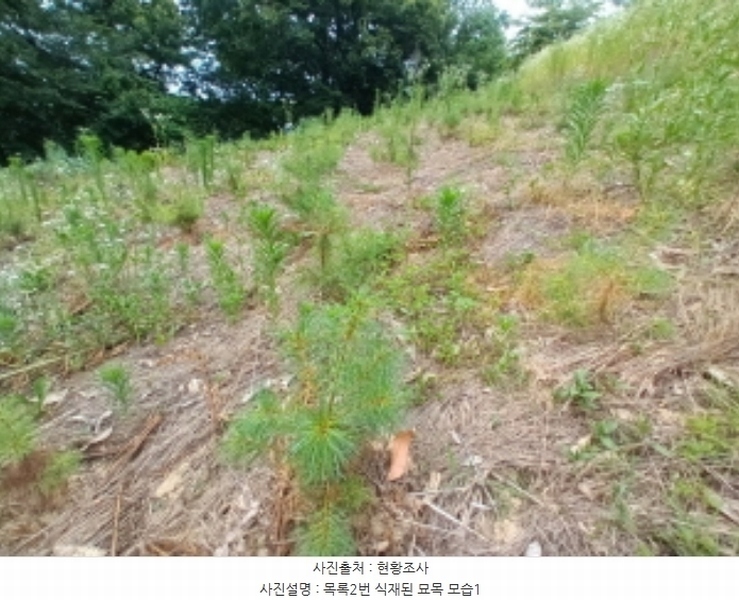 2024타경111817 충청남도 금산군 남일면 황풍리 331-1 농지 경매 이미지