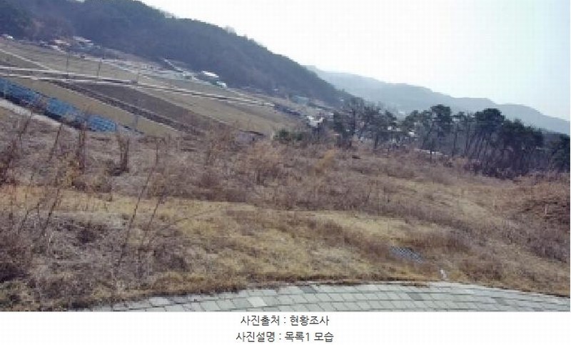 2025타경1337 세종특별자치시 장군면 대교리 370-46 대지 경매 이미지