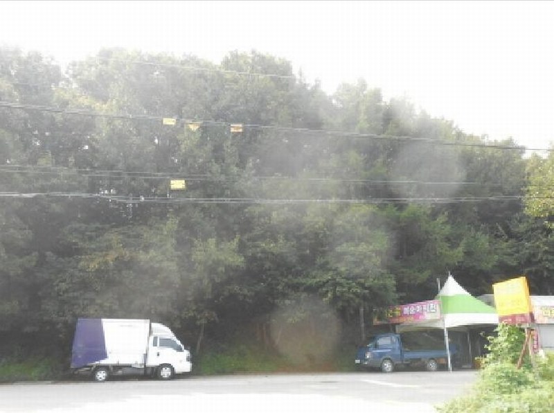 2025타경3858 세종특별자치시 연서면 국촌리 산34-7 임야 경매 이미지
