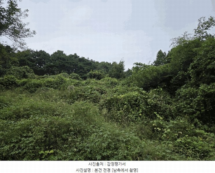 2025타경3858 세종특별자치시 연서면 국촌리 산34-7 임야 경매 이미지