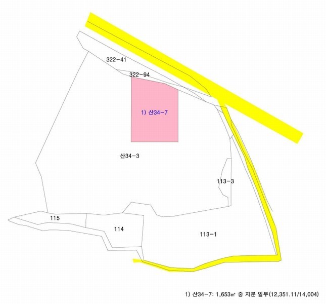 2025타경3858 세종특별자치시 연서면 국촌리 산34-7 임야 경매 이미지