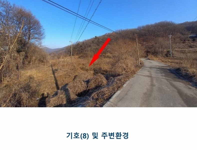 2025타경500742 세종특별자치시 전의면 노곡리 290-1 농지 경매 이미지