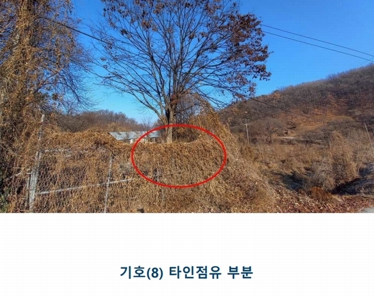 2025타경500742 세종특별자치시 전의면 노곡리 290-1 농지 경매 이미지