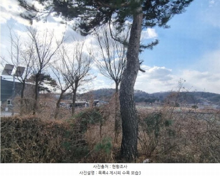 2025타경501639 세종특별자치시 연동면 내판리 253-22 공장 경매 이미지