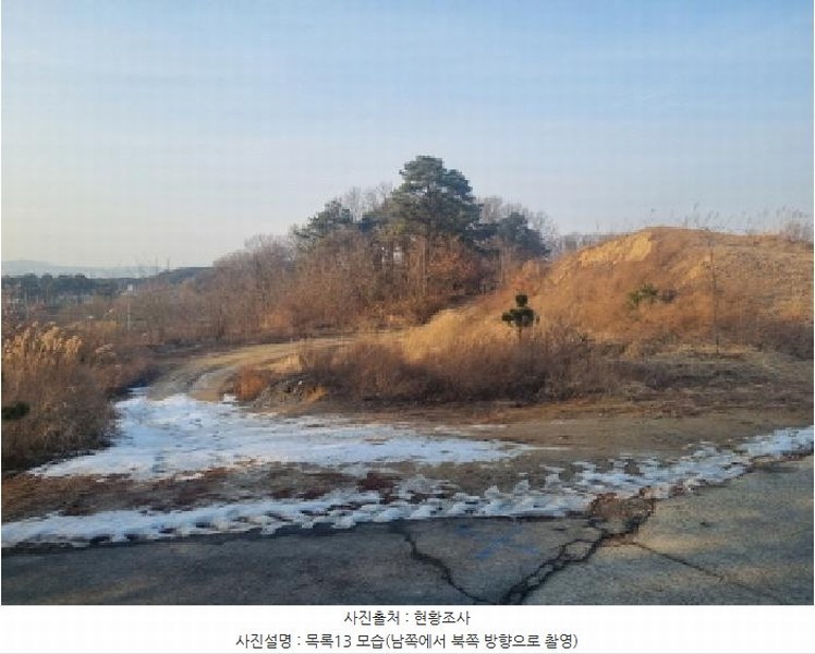 2025타경501726 세종특별자치시 연동면 내판리 1-4 임야 경매 이미지