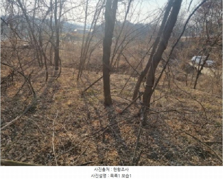 2025타경501726 세종특별자치시 연동면 내판리 1-4 임야 경매 이미지