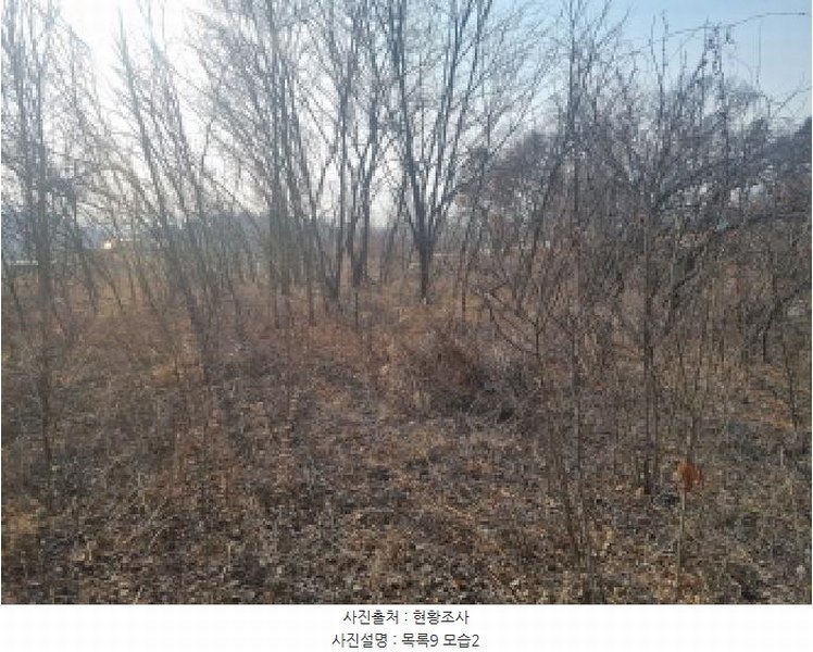 2025타경501726 세종특별자치시 연동면 내판리 1-4 임야 경매 이미지