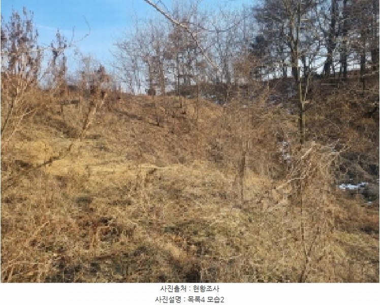 2025타경501726 세종특별자치시 연동면 내판리 1-4 임야 경매 이미지