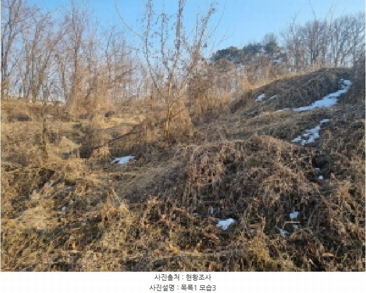 2025타경501726 세종특별자치시 연동면 내판리 1-4 임야 경매 이미지