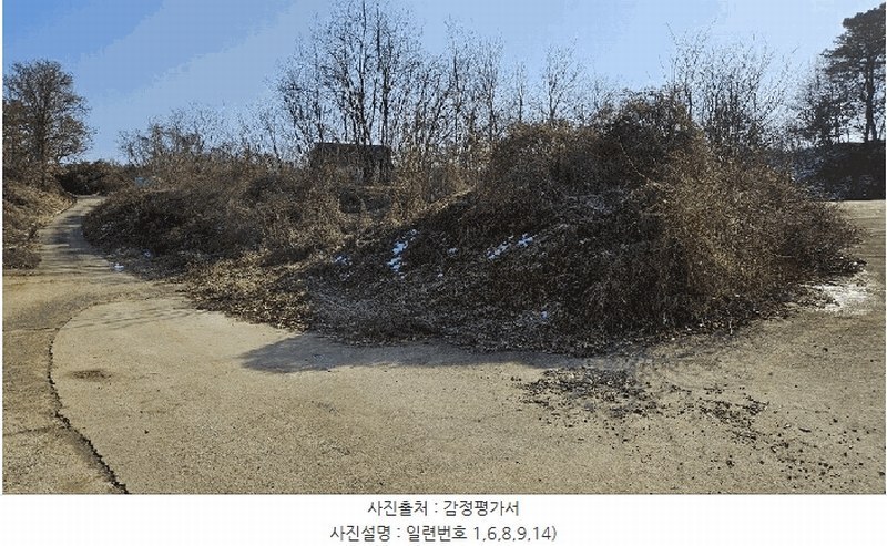 2025타경501726 세종특별자치시 연동면 내판리 1-4 임야 경매 이미지