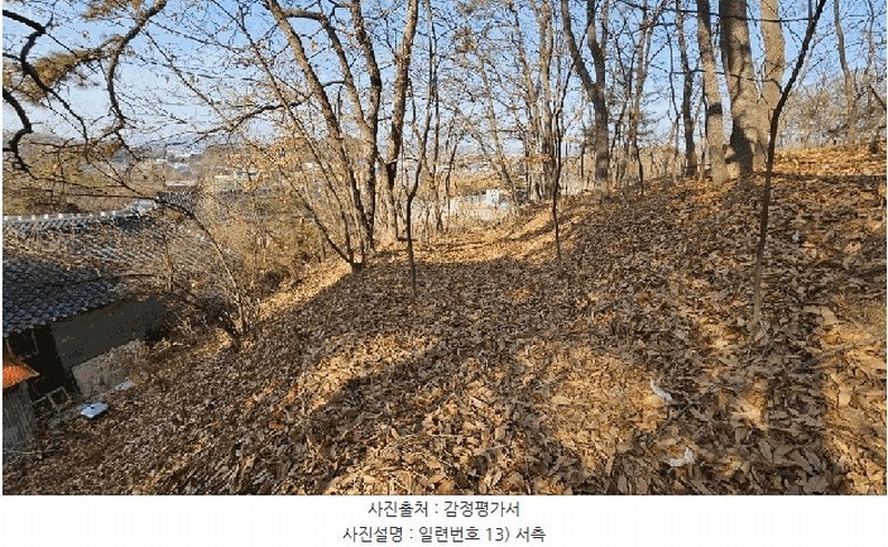 2025타경501726 세종특별자치시 연동면 내판리 1-4 임야 경매 이미지