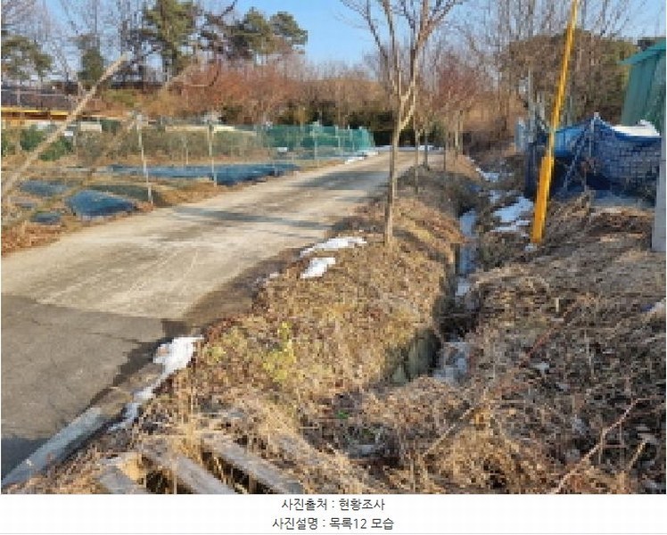 2025타경501726 세종특별자치시 연동면 내판리 1-4 임야 경매 이미지
