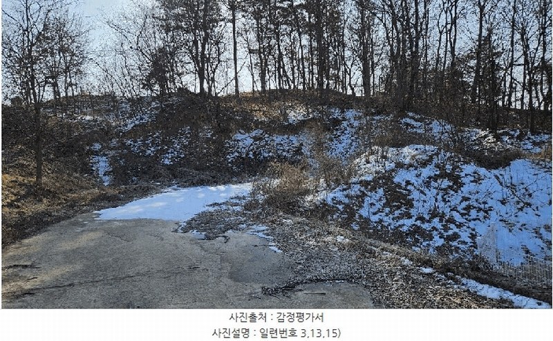 2025타경501726 세종특별자치시 연동면 내판리 1-4 임야 경매 이미지