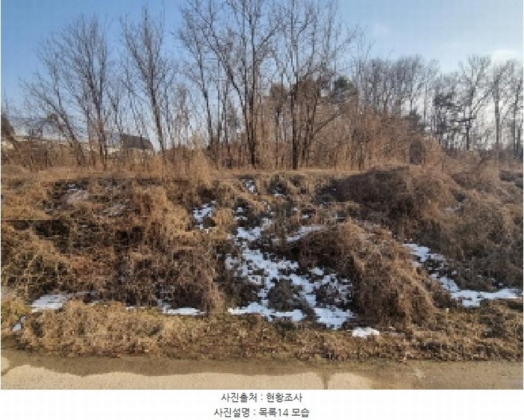 2025타경501726 세종특별자치시 연동면 내판리 1-4 임야 경매 이미지